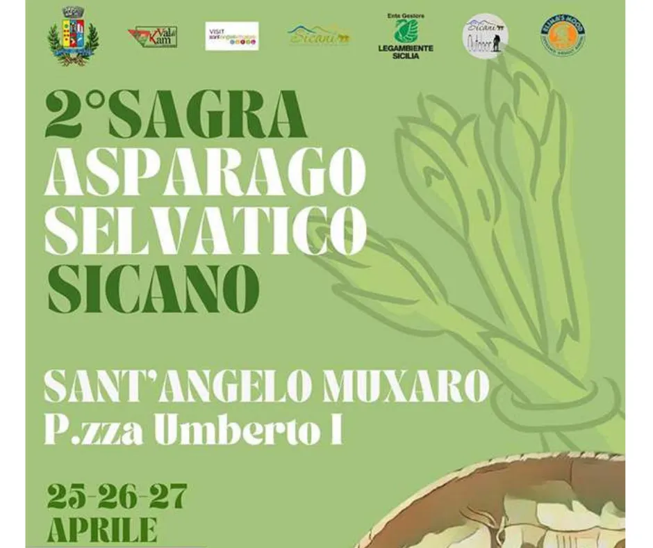 Progetto senza titolo-38