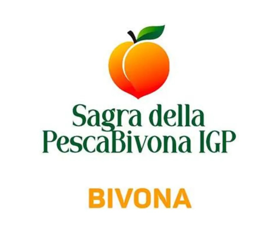 Progetto senza titolo-58